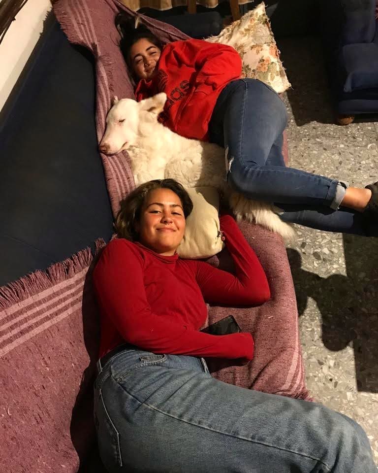 245555565_1287104101733449_5913955149600760500_n